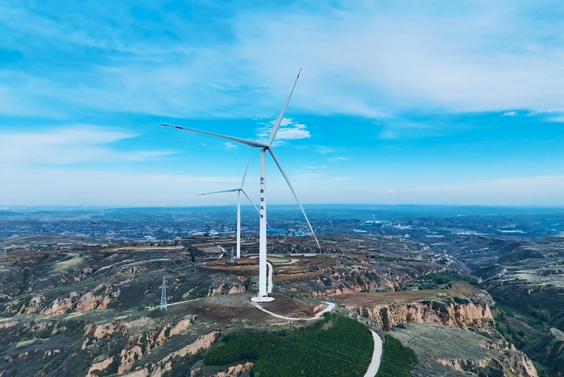 291761728442298354.png 张雪.png