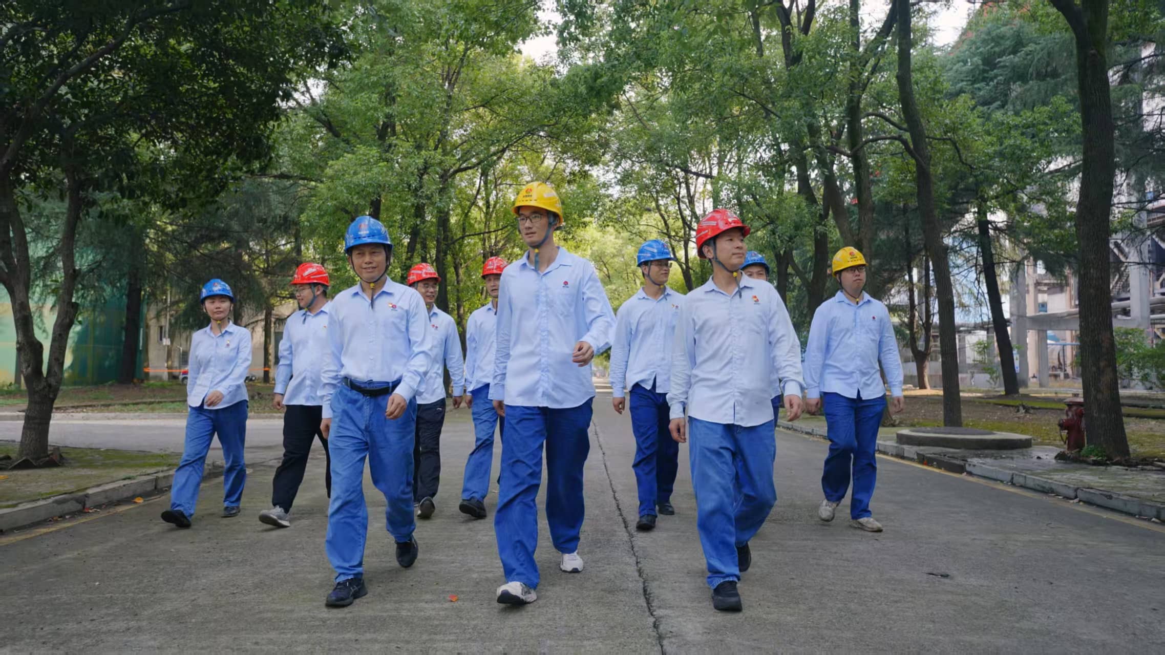 311761883530914645.jpg 311761883530914645.jpg