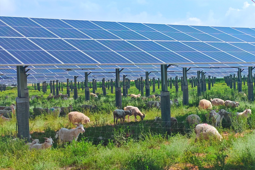 041762224689668476.jpeg 041762224689668476.jpeg